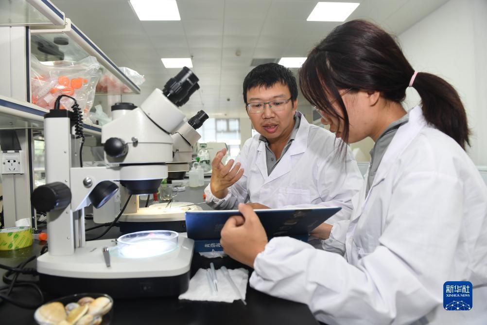 大满贯软件官方网址